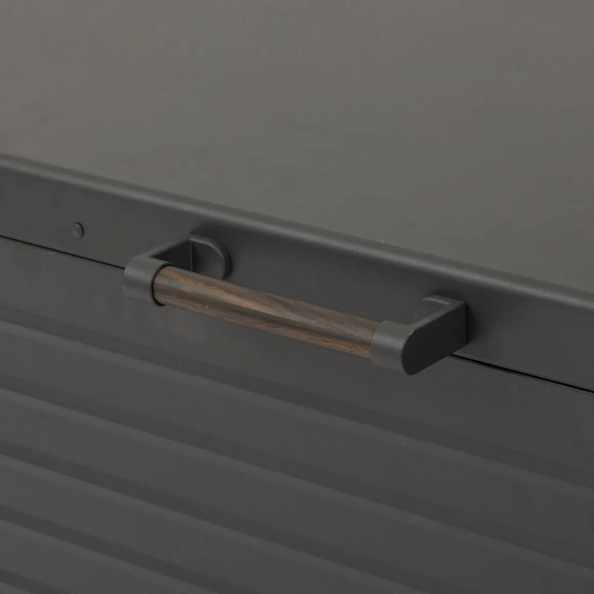 Baúl de almacenaje EDENIO de acero gris