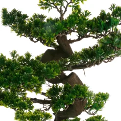 Bonsái En Maceta 80Cm