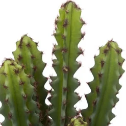 Cactus artificial ALI con maceta terracota