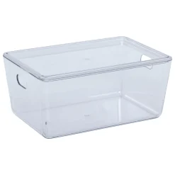 Caja organizadora SELENA con tapa 4l