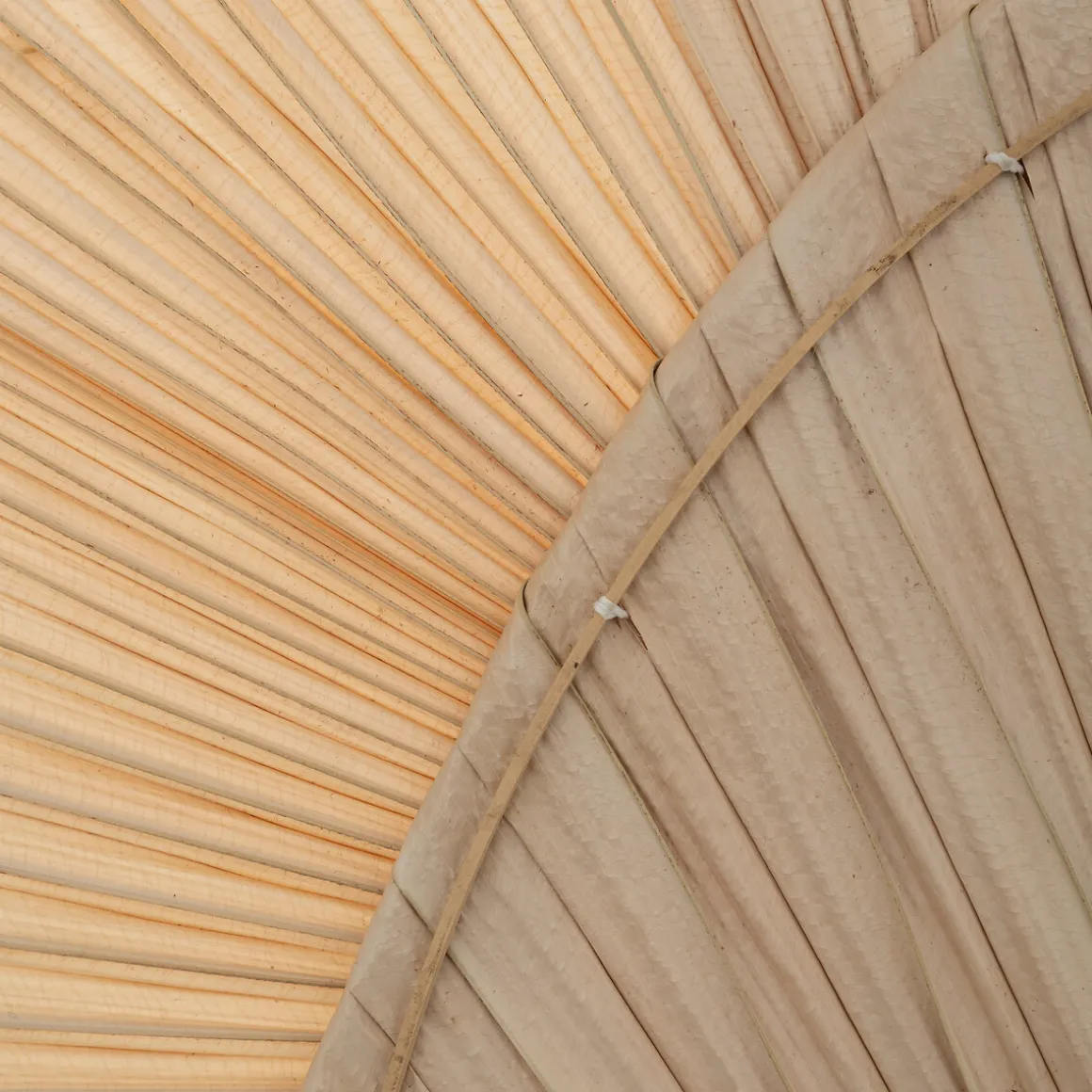 Hoja De Palma Decorativa Selma 70cm