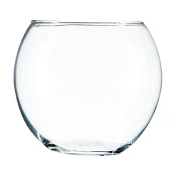 Jarrón De Vidrio Acuario 15x15Cm