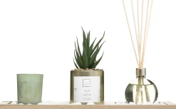 Juego Aromático Jardín Verde 36x14x1.5Cm