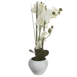 Maceta Cerámica Blanca C/Orquídea 53Cm