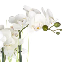 Maceta Cerámica C/Orquídea 53Cm