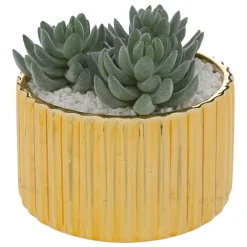 Maceta Con Suculenta 14x13.5x14Cm