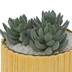 Maceta Con Suculenta 14x13.5x14Cm