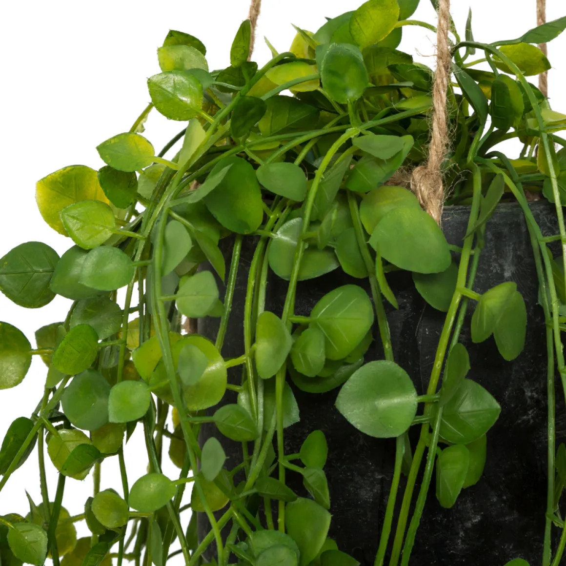 Maceta De Cemento Colgante C/Planta