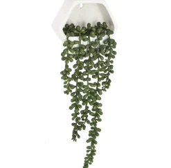 Maceta De Cerámica Con Planta