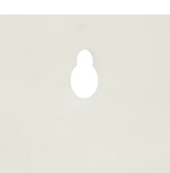 Maceta De Cerámica Con Planta