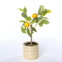 Maceta De Cerámica Ondulada Beige 12.9cm