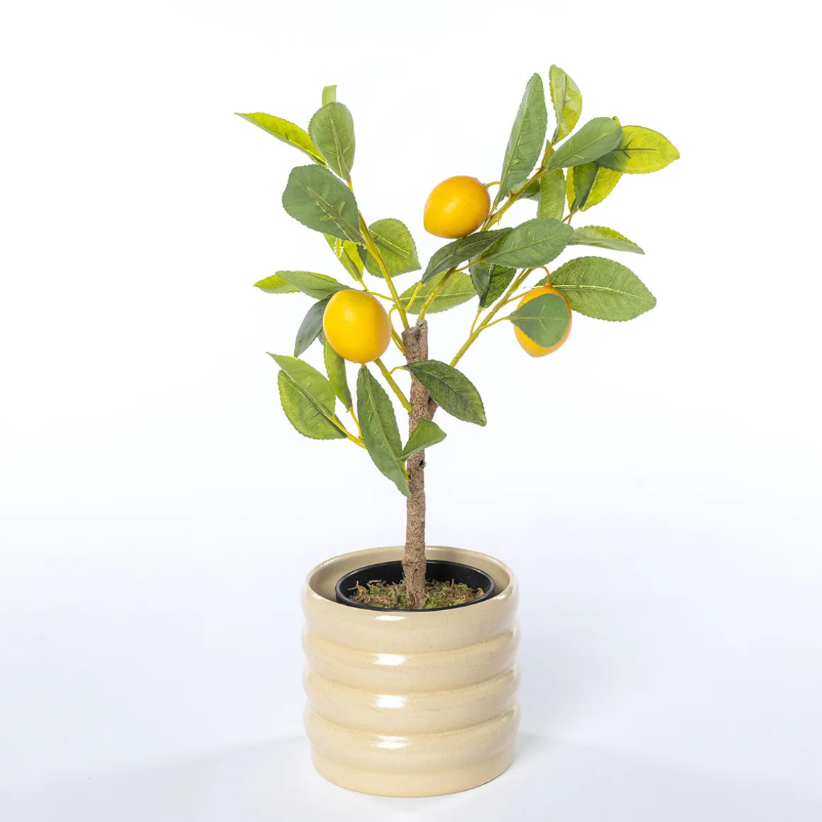 Maceta De Cerámica Ondulada Beige 12.9cm