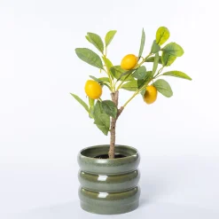 Maceta De Cerámica Ondulada Verde 12.9cm