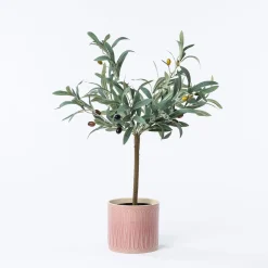 Maceta De Cerámica Rosa De Rayas 14.5cm