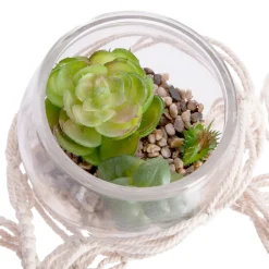 Maceta De Vidrio Colgante C/Planta