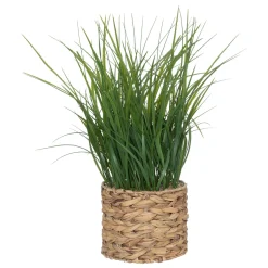 Maceta Jacinto Con Hierbas 70cm