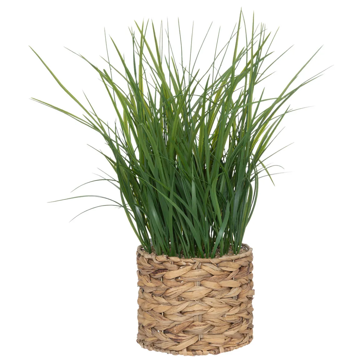 Maceta Jacinto Con Hierbas 70cm