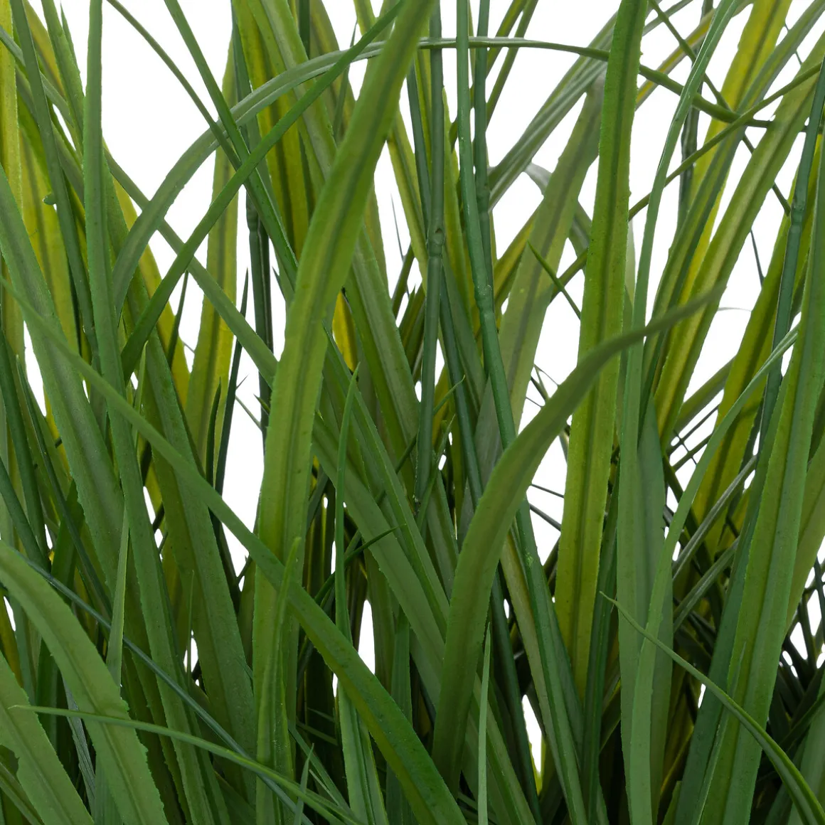 Maceta Jacinto Con Hierbas 70cm