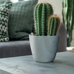 Maceta MATE efecto cemento gris 12.7x13.8x13x8cm