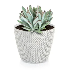 Maceta Splofy Eco Wood C/Blanco 16x19Cm