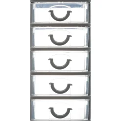 Organizador C/5 Cajones 9x13x18.7Cm Gris