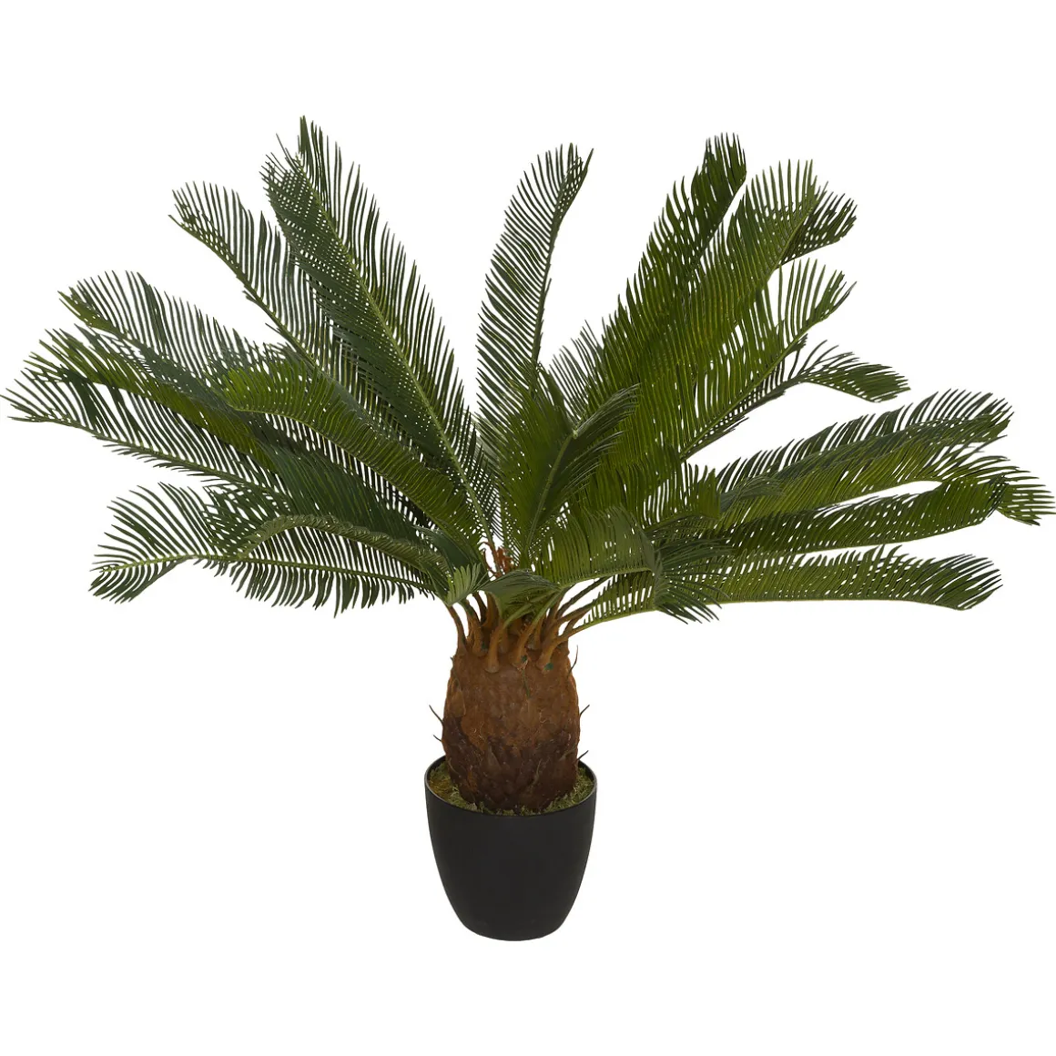 Palmera Piña Con Maceta 93Cm