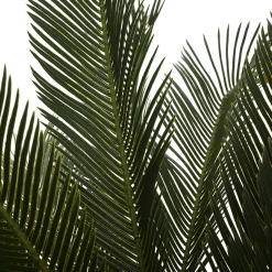 Palmera Piña Con Maceta 93Cm