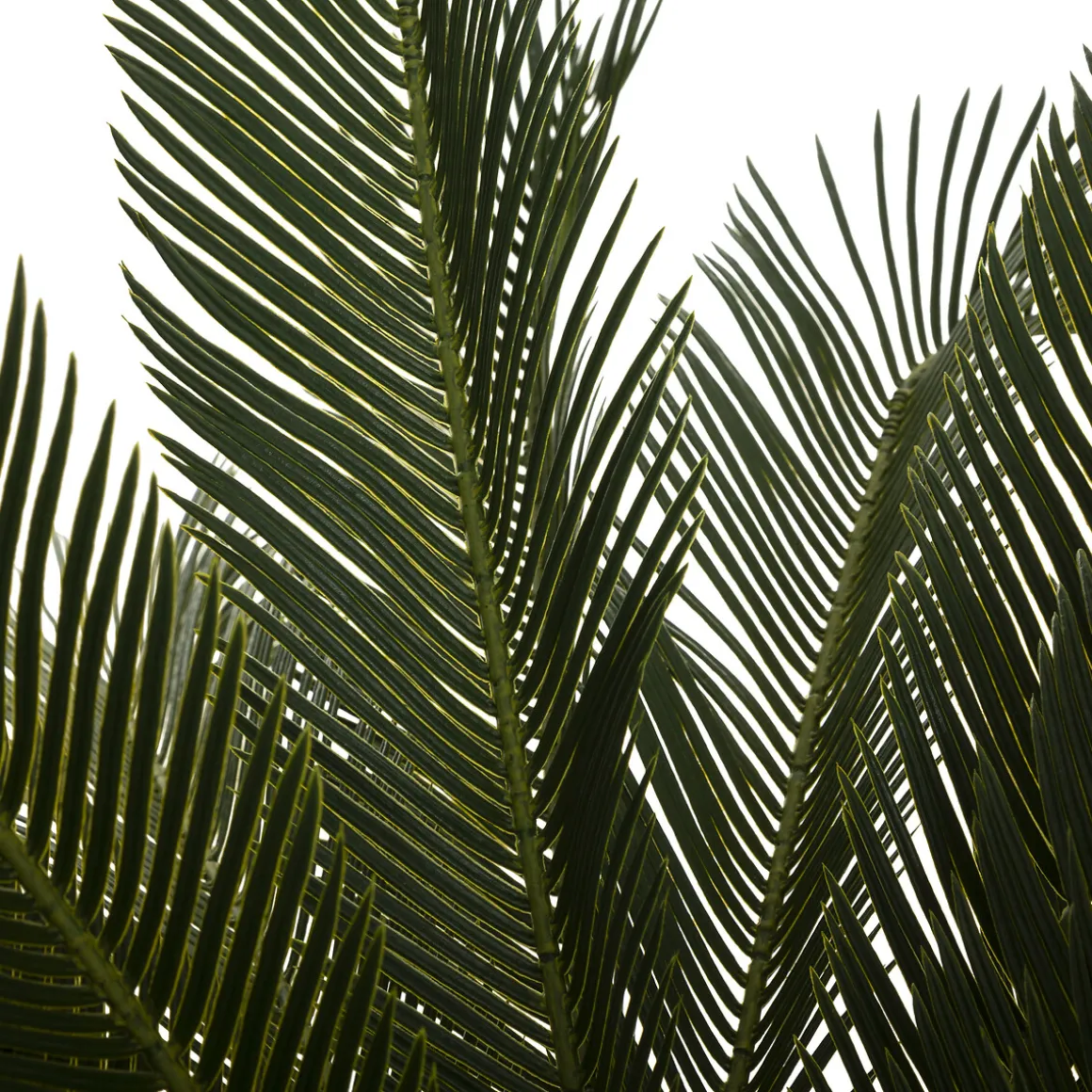 Palmera Piña Con Maceta 93Cm
