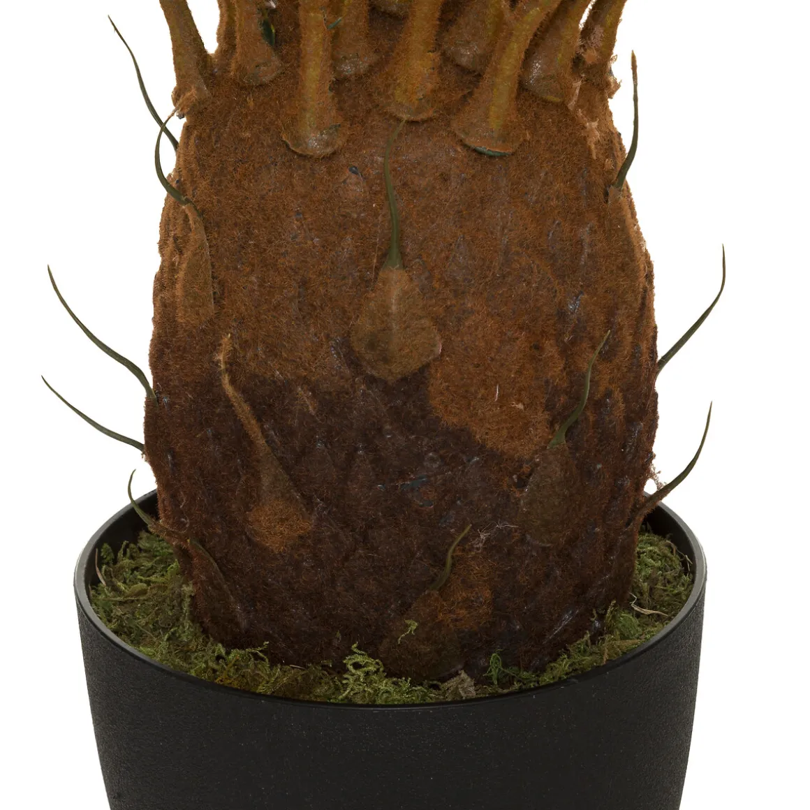 Palmera Piña Con Maceta 93Cm