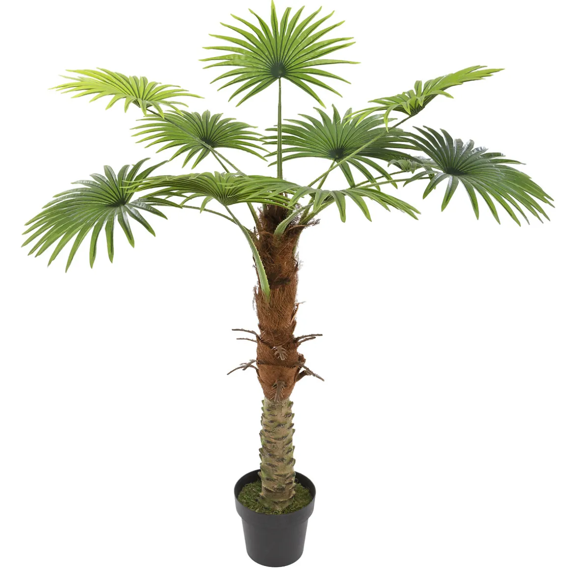 Palmera Verde 134x100x100Cm