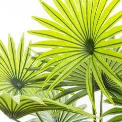 Palmera Verde 134x100x100Cm