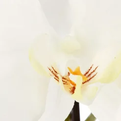 Planta Artif.Orquídea C/Maceta 110Cm