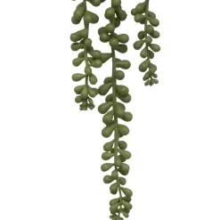 Planta Colgante Con Maceta 50Cm