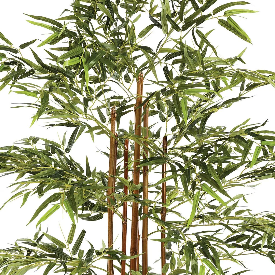 Planta De Bambú Artif.Con Maceta 185Cm