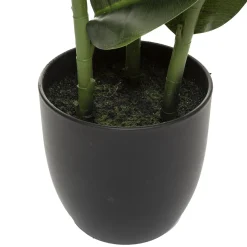 Planta Ficus Verde Oscuro 120Cm