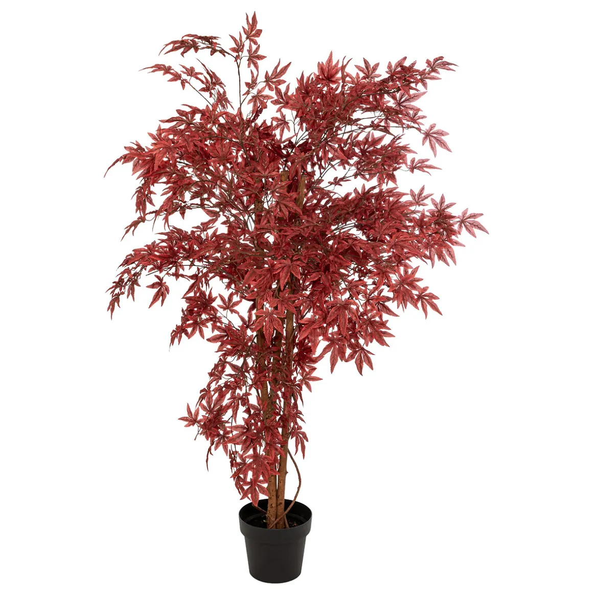 Planta Roble Artificial Rojo James 150cm