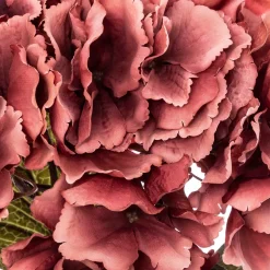 Rama De Hortensia Artificial 83Cm