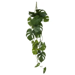 Rama Monstera Verde Colgante 25x5x85Cm