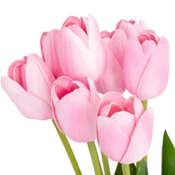 Ramo de 10 Tulipanes Rosas 48cm