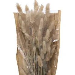 Ramo De Flores Secas Ori 18x58Cm