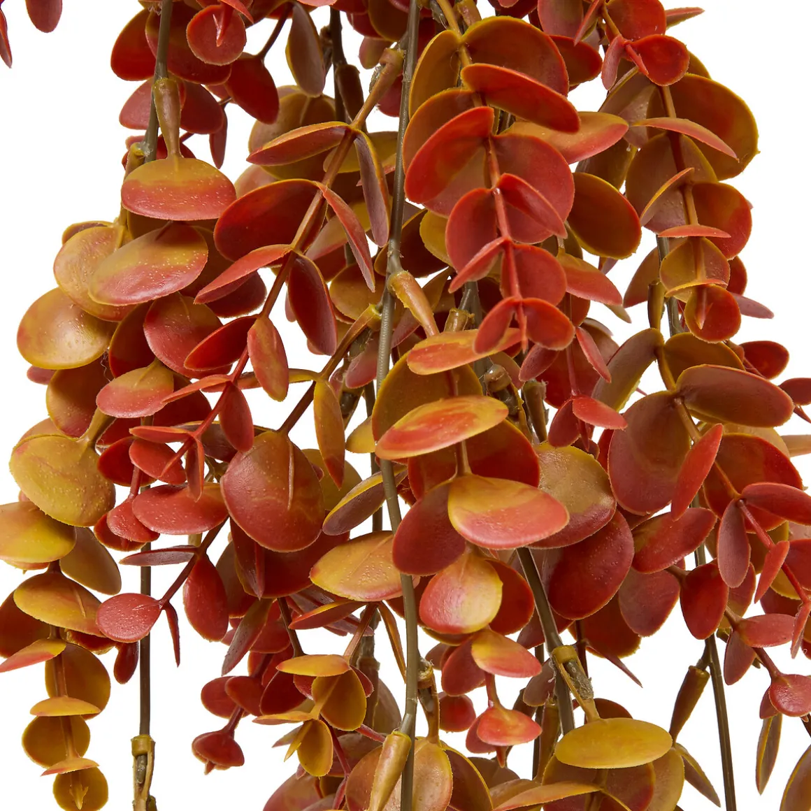 Ramo eucalipto artificia JAMES naranja 80cm