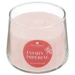 Vela perfumada jamín IZOR 300g