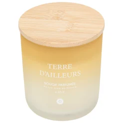 Vela perfumada Terre d'ailleurs SANA 255g