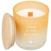 Vela perfumada terre de feu SANA 255g
