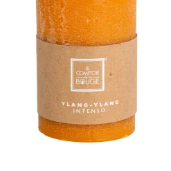 Vela Perfumada Ylang-Ylang 6.9x14Cm