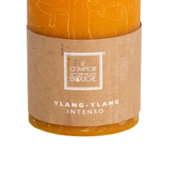 Vela Perfumada Ylang-Ylang 6.9x10Cm